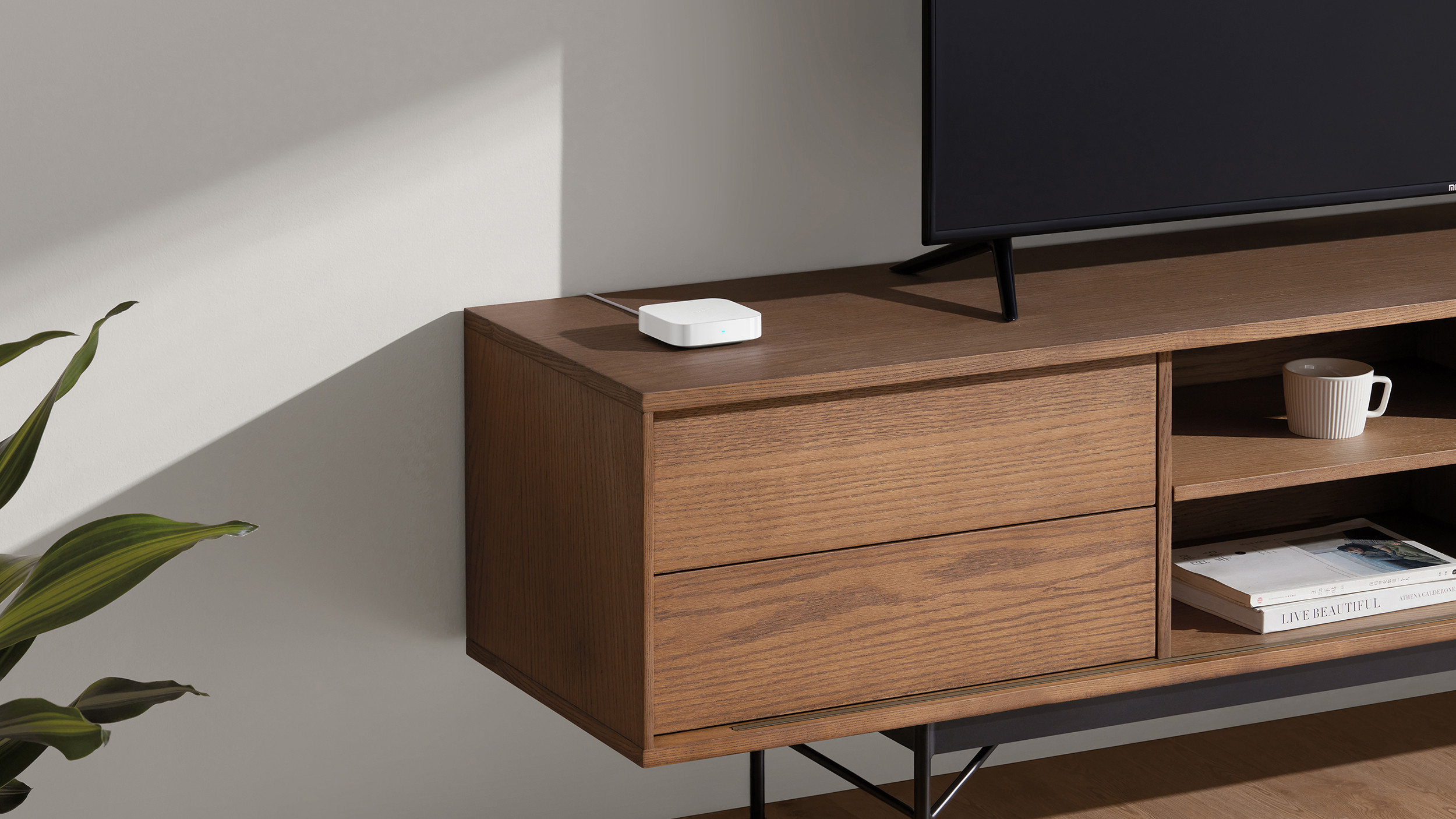 Xiaomi Smart Home Hub 2